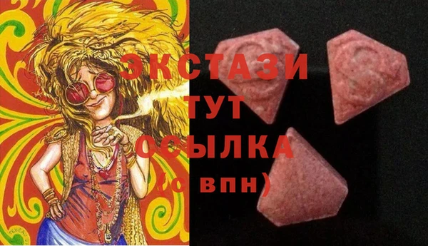 spice Инта