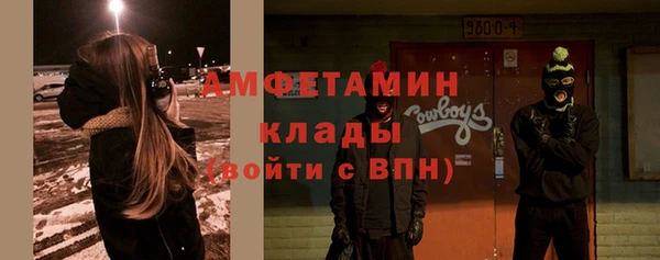 spice Инта