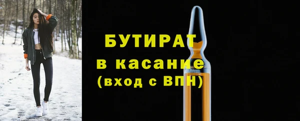 spice Инта