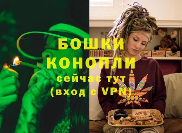 spice Инта