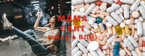 spice Инта