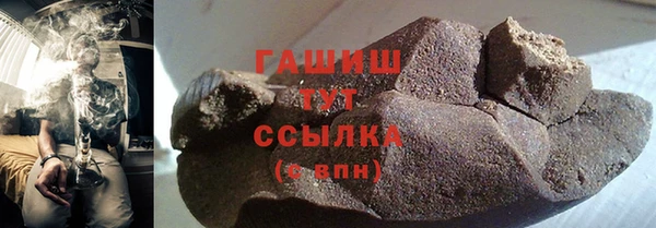 spice Инта