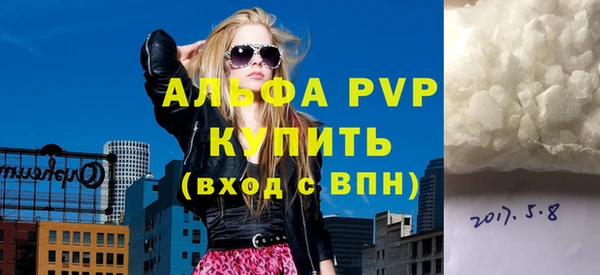 spice Инта