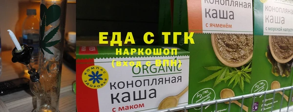 spice Инта